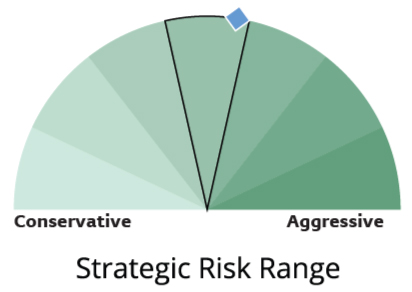 strategic-risk-range